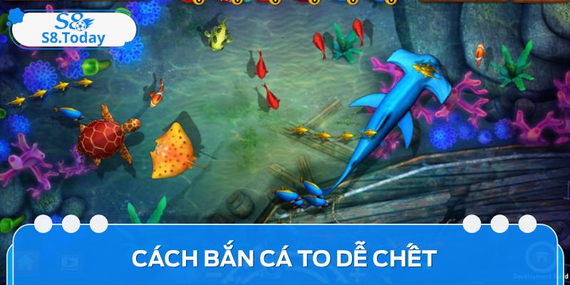 Bật Mí Các Cách Bắn Cá To Dễ Chết Hiệu Quả Nhất Cho Bạn 1 Bật Mí Các Cách Bắn Cá To Dễ Chết Hiệu Quả Nhất Cho Bạn